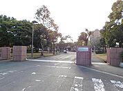国立鹿屋体育大学 1470m