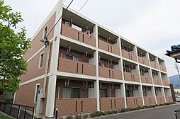 1 / 4