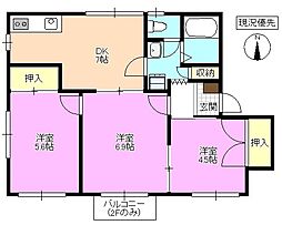 タウニー樹里Ｄ