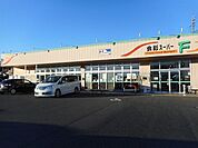 スーパー「食彩スーパーＦまで1600m」