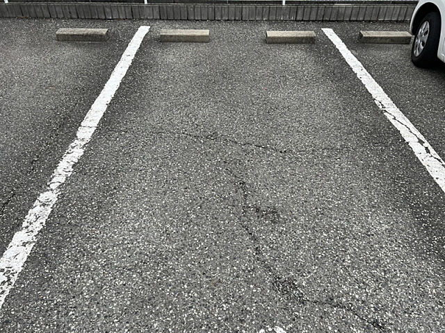 5 / 9