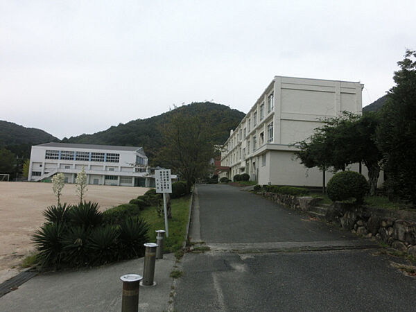 画像28:新宮中学校