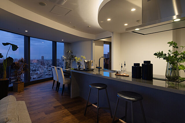 リビング/ダイニング ワテラスタワーレジデンス 25階/-