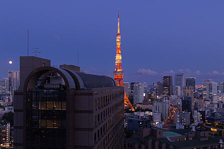 リビングの南東側には、都心を象徴する東京タワーを望む眺望が広がります。 高層階ならではの開放感ととも