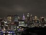 その他：バルコニー西側の夜景に映える東京タワー