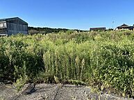 三重県いなべ市大安町石榑南1068：物件画像
