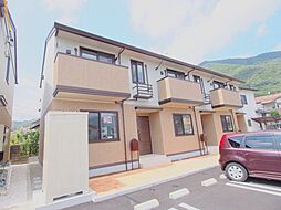 カメリア