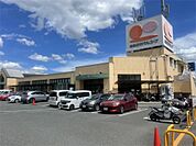 おおさかパルコープ ながお店（1150m）