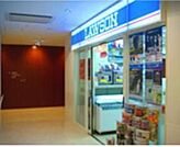 ローソン慈恵医大店 343m