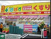 どらっぐぱぱす四つ木平和橋通り店 930m