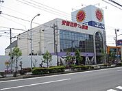 コジマ 1015m