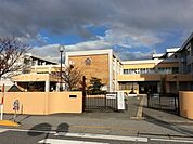 長浜市立虎姫学園 1100m
