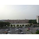 小学校「船橋市立行田西小学校まで420ｍ」