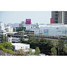 スーパー「イオンマリンピア店まで513ｍ」