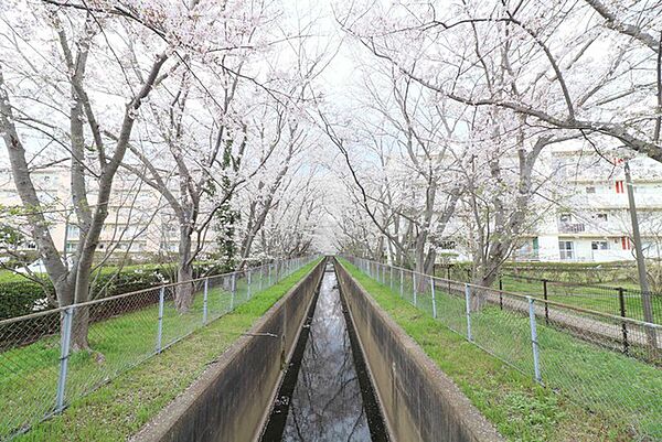 UR取手井野 ｜茨城県取手市井野団地(賃貸マンション3K・4階・45.81㎡)の写真 その18