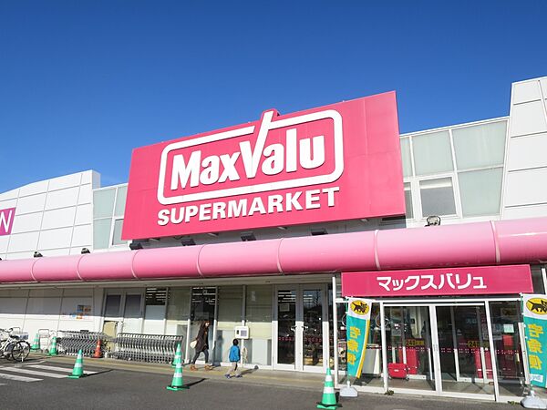 画像30:【スーパー】マックスバリュ辰巳台店まで833ｍ