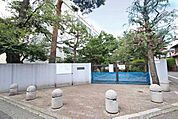 練馬区立開進第三中学校 徒歩14分。 1080m