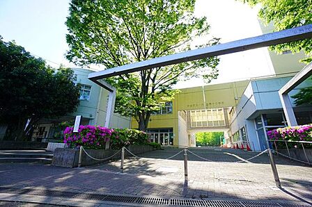 杉並区立杉並第十小学校 徒歩10分。 780m