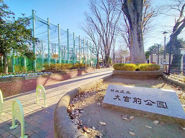周辺を拡大表示