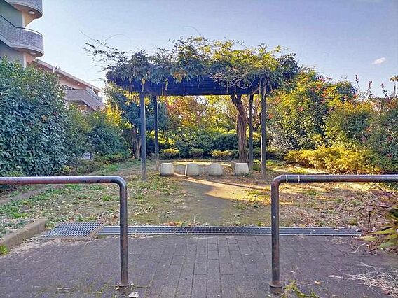 立野町水道端緑...