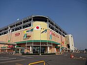 ヨシヅヤ本店営業時間10時～21時スーパーやドラッグストアなど多くの店舗があるショッピングセンター。衣類から雑貨まで日々の暮らしに必要なものが全て揃います。 750m