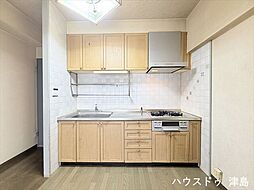 ニューコーポ金柳一番館:キッチン