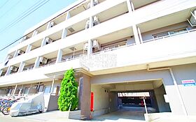 神奈川県相模原市緑区橋本5丁目（賃貸マンション1K・5階・24.51㎡） その1