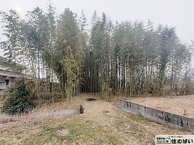 外観:【603.89m2の広大な敷地】現状は竹林となっております。 外観:【603.89m2の広大な敷地】現状は竹林となっております。
