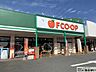 周辺：FCO・OP舞松原店 （徒歩10分）周辺にスーパーが複数ございますので、時間帯や購入商品に合わせてお買い物ができます♪ 770m