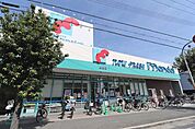 万代巽西店 307m