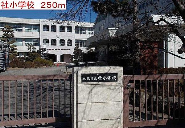 画像24:加東市社小学校(250m)