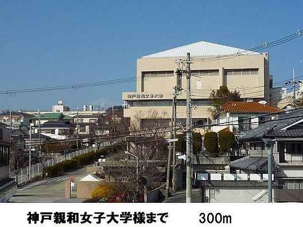 画像17:神戸親和女子大学様まで300m