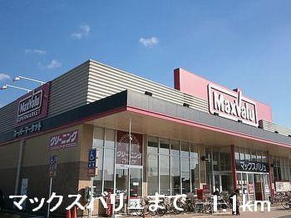 画像18:マックスバリュまで1100m