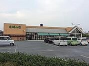 主婦の店岡田店  35m
