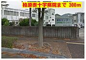 柏原赤十字病院まで300m