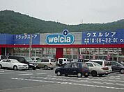 ウエルシア熊見店まで1、007ｍ