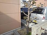 物件前にあり