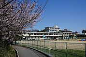 琴陵中学校(1200m)