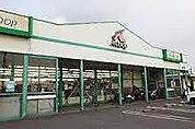 Ａコープ玉手店  300m
