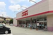 ファッションセンターしまむら田寺店  750m