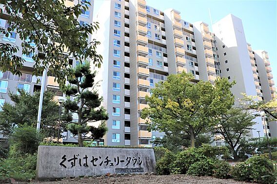 センチュリータ...