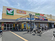 スーパー「ヨークマート越谷赤山店まで742m」