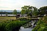 周辺：昆陽池公園の外観