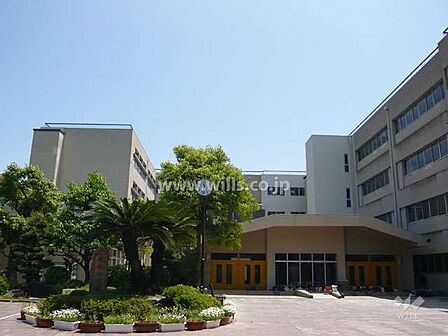 有岡小学校[公立]の外観