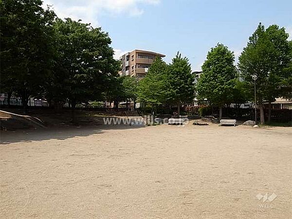 周辺を拡大表示