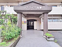 13 / 27