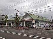 グルメシティ嵯峨店（342m）