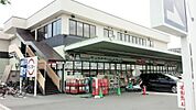 ジャパン 山科店（706m）