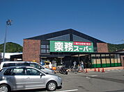 業務スーパー 御陵店（544m）
