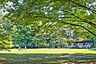 周辺：砧公園まで徒歩3分